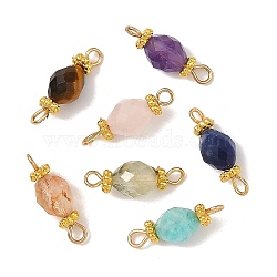 304 Stainless Steel & Natural Gemstone Connector Charms, Oval Links, Golden, Mixed Color, 19~19.5x6.5mm, Hole: 2mm(PALLOY-JF05970)