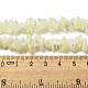 Natural Trochus Shell Beads Strands(SSHEL-H072-12)-4