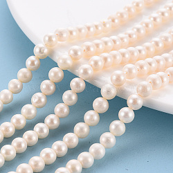 Natural Cultured Freshwater Pearl Beads Strands, Round, Antique White, 6~6.5x6~6.x6~6.mm, Hole: 0.5mm, about 64~65pcs/strand, 15.55 inch~15.86 inch(39.5~40.3cm)(PEAR-N010-004)