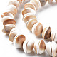 Natural Shell Beads Strands(SSHEL-N034-100)-3