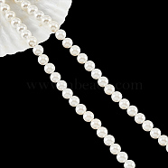 Natural White Shell Beads Strands, Mother of Pearl Shell Bead, Round, Antique White, 8mm, Hole: 0.9mm, about 51pcs/strand, 15.55''(39.5cm)(SHEL-WH0001-009B)