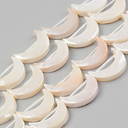 Electroplate Natural Freshwater Shell Beads Strands, Dyed, Moon, Seashell Color, 15.5x10.5~11.5x3mm, Hole: 1mm, about 25pcs/strand, 15.16 inch~15.43 inch(38.5cm)(X-SHEL-T017-16D)
