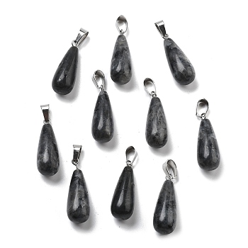 Natural Larvikite Pendants, with Stainless Steel Snap On Bails, Drop, 28~30x10~12mm, Hole: 6x4mm