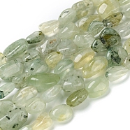 Natural Prehnite Beads Strands, Tumbled Stone, Nuggets, 10~18.5x7~12x5~10mm, Hole: 0.8mm, about 28pcs/strand, 15.75 inch(40cm)(G-I194-22)
