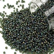 TOHO Round Seed Beads, Japanese Seed Beads, (180F) Transparent AB Frost Olivine, 15/0, 1.5mm, Hole: 0.7mm, about 3000pcs/bottle, 10g/bottle(SEED-JPTR15-0180F)