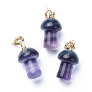 Carved Natural Fluorite Pendants, with Brass Spring Ring Clasps, Long-Lasting Plated, Mushroom, Golden, 28mm, Pendant: 20x11.5mm(G-J387-50)