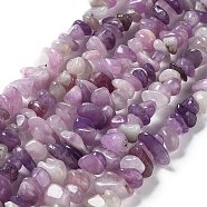 Natural Lepidolite/Purple Mica Stone Beads Strands, Chip, 5~8x5~8x5mm, Hole: 0.8mm, 31.50~32 inch(80~83cm)(X-G-P497-03A-06)