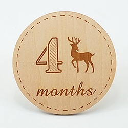 Basswood Milestone Cards, with Word, Flat Round with 4 Months, BurlyWood, 100x3mm, 12pcs/set(X-WOOD-TAC0005-07B)