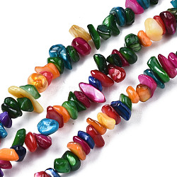 Natural Freshwater Shell Beads Strands, Dyed, Chips, Mixed Color, 2~6x4~14x4.5~8.5mm, Hole: 0.7~0.8mm, about 258~292pcs/strand, 31.10 inch~32.05 inch(79cm~81.4cm)(SHEL-S278-070D)