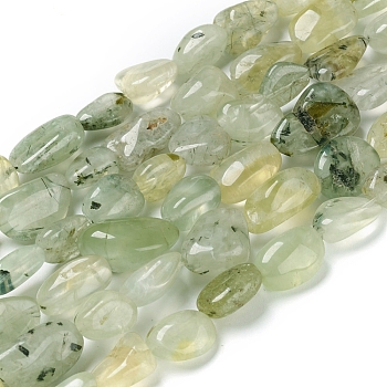 Natural Prehnite Beads Strands, Tumbled Stone, Nuggets, 10~18.5x7~12x5~10mm, Hole: 0.8mm, about 28pcs/strand, 15.75 inch(40cm)