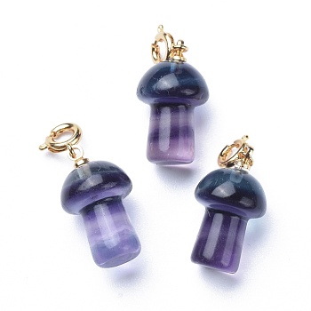 Carved Natural Fluorite Pendants, with Brass Spring Ring Clasps, Long-Lasting Plated, Mushroom, Golden, 28mm, Pendant: 20x11.5mm