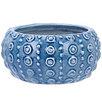 Ceramic Flower Pots, Succulent Planters, Ocean Series Ceramic Vase, Sea Urchin, 98x51mm(AJEW-SC0032-01B)