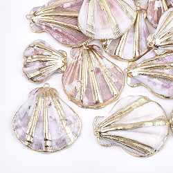 Electroplate Sea Shell Pendants, with Iron Findings, Light Gold, Seashell Color, 33~47x27~43x10~14mm, Hole: 2mm(X-SSHEL-S262-34)