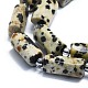 Natural Dalmatian Jasper Beads Strands(G-K245-I03-01)-3