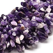 Natural Amethyst Nuggets Bead Strands, 14~27x5~13mm, Hole: 1mm, 16 inch(G-P073-39)