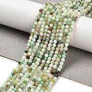 Natural Serpentine Beads Strands, Round, Faceted, 3mm, Hole: 1mm, about 117pcs/strand, 15.55''(39.5cm)(G-B107-A05-03)