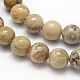 Natural Fossil Coral Round Bead Strands(G-N0166-05-8mm)-2
