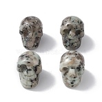 Natural Sesame Jasper/Kiwi Jasper Display Decoration, for Home Office Tabletop, Skull, 18~23x17~23.5x23~26mm(G-C022-01F)
