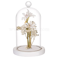 Glass Dome Cover, Decorative Display Case, Cloche Bell Jar Terrarium with Wood Base, White, 113x180mm(DIY-WH0430-560A)