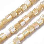 Natural Trochid Shell/Trochus Shell Beads Strands, Column, 3.5x3.5mm, Hole: 1mm, about 111~117pcs/strand, 15.35 inch~15.94 inch(39~40.5cm)(SSHEL-N034-77-B01)