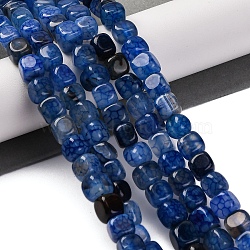 Natural Dragon Veins Agate Beads Strands, Dyed & Heated, Cube, Dark Blue, 7~8x7~8x7~8mm, Hole: 0.9mm, about 56pcs/strand, 14.57''(37cm)(G-G177-E07-01)