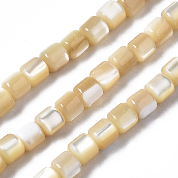 Natural Trochid Shell/Trochus Shell Beads Strands, Column, 3.5x3.5mm, Hole: 1mm, about 111~117pcs/strand, 15.35 inch~15.94 inch(39~40.5cm)