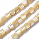 Natural Trochid Shell/Trochus Shell Beads Strands(SSHEL-N034-77-B01)-1