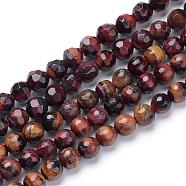 Natural Red Tiger Eye Bead Strands, Faceted Round, 8mm, Hole: 1mm, about 50pcs/strand, 15.7 inch(G-R411-14-8mm)