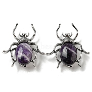 Dual-use Items Alloy Spider Brooch, with Natural Amethyst, Antique Silver, 42x38x12~13mm, Hole: 4.5x4mm(JEWB-C026-03I-AS)
