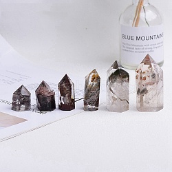 Point Tower Natural Lodolite Quartz Home Display Decoration, Healing Stone Wands, for Reiki Chakra Meditation Therapy Decors, Hexagon Prism, 30~40mm(PW-WG99911-01)