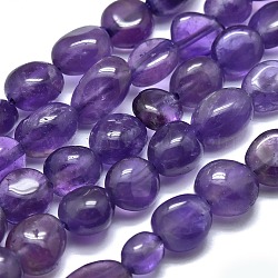 Natural Amethyst Beads Strands, Tumbled Stone, Nuggets, 8~10x7~8x4~6mm, Hole: 0.8mm, about 46pcs/Strand, 15.75 inch(40cm)(X-G-O186-B-05)