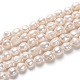 Natural Cultured Freshwater Pearl Beads Strands(PEAR-L033-41B-01)-1