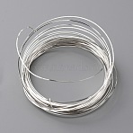 Copper Craft Wire, Square, Silver, 0.6x0.6mm, about 16.40 Feet(5m)/Bundle(CWIR-WH0016-06B-S)