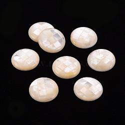 Natural White Shell Cabochons, Flat Round, White, 16.5x3.5mm(SSHEL-T014-34)