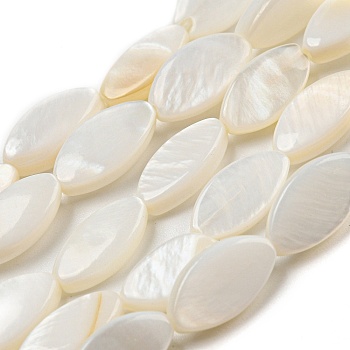 Natural Freshwater Shell Beads Strands, Horse Eye, 10~11x5~6x2~3mm, Hole: 1mm, about 34pcs/strand, 14.29''(36.3cm)