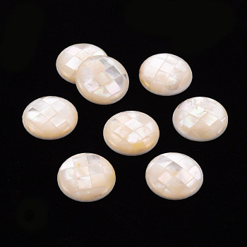 Natural White Shell Cabochons, Flat Round, White, 16.5x3.5mm