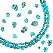 Synthetic Turquoise Beads Strands, Dyed, Skull, Medium Turquoise, 8~18x6~13x7~15mm, Hole: 1mm, 152pcs/box(TURQ-FH0001-01)