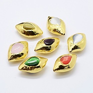 Edge Golden Plated Cat Eye Beads, Horse Eye, Mixed Color, 30.5~33x20~21x13~15mm, Hole: 1mm(PEAR-F006-99G)