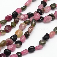 Nuggets Natural Tourmaline Beads Strands, Tumbled Stone, 5~8x5~8mm, Hole: 1mm, about 15.5 inch(X-G-N0164-06)