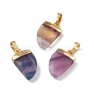 Natural Fluorite Pendants, Faceted Scabbard Charms, with Rack Plating Brass Findings, Golden, 18x10.5x5mm, Hole: 6x3.5mm(G-L479-43G)