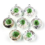 Transparent Epoxy Resin Pendants, with Natural Shell Inside and Platinum Plated Iron Loop, Diamond Shape, Medium Sea Green, 23~24x20x13mm, Hole: 2mm(CRES-N025-11E)