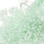 TOHO Round Seed Beads, Japanese Seed Beads, (1065) Mint Lined Crystal, 8/0, 3mm, Hole: 1mm, about 222pcs/bottle, 10g/bottle(SEED-JPTR08-1065)
