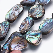 Natural Abalone Shell/Paua Shell Beads Strands, Nuggets, 17~32x10~16x4~7mm, Hole: 0.8mm, about 18pcs/strand, 15.5 inch(39.5cm)(SSHEL-P014-02)