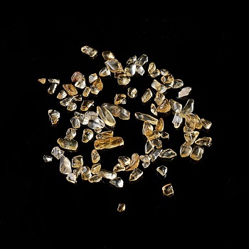 Natural Citrine Chip Beads, No Hole/Undrilled, 2~12x2~10x1~3mm