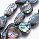 Natural Abalone Shell/Paua Shell Beads Strands(SSHEL-P014-02)-1