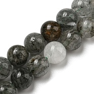 Natural Lodolite Quartz Beads Strands, Round, 6mm, Hole: 0.8mm, about 61pcs/strand, 15.43~15.51''(39.2~39.4cm)(G-R494-A15-02)