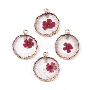 Transparent Clear Epoxy Resin & Dried Flower Pendants, with Edge Light Gold Plated Iron Loops, Flat Round, Cerise, 25~26x20~21x4.5mm, Hole: 1.8mm(RESI-S383-075-D01)
