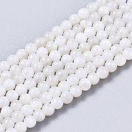 Natural Freshwater Shell Beads Strands, Dyed, Round, Floral White, 2.5mm, Hole: 0.7mm, about 150~190pcs/Strand, 14.96 inch~15.75 inch(BSHE-T009-01F)