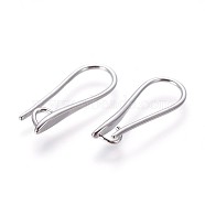Brass Earring Hooks, with Horizontal Loop, Platinum, 19.5x8x2.5mm, Hole: 2mm, 18 Gauge, Pin: 1mm(KK-L177-32P)