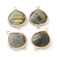 Labradorite Links Connectors, with Golden Tone Brass Findings, Faceted Teardrop, 24x18x5.5mm, Hole: 1.6mm(G-B009-17G)